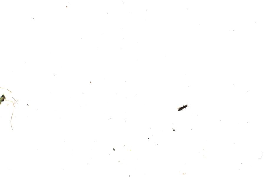 Image 60